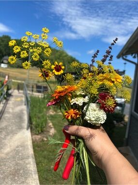 Meet your Posher, Caitie